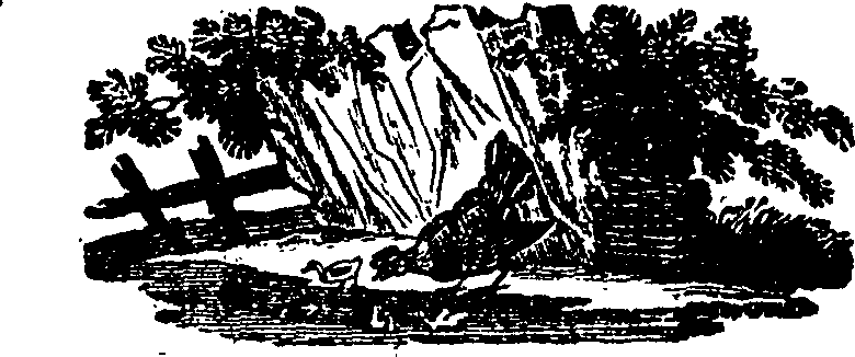071/071890060000750_0.png