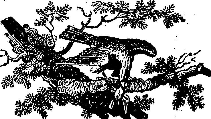 071/071890060002840_0.png
