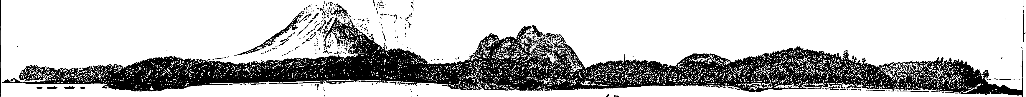 071/071890070002380_1.png