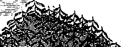 071/071890070002520_0.png