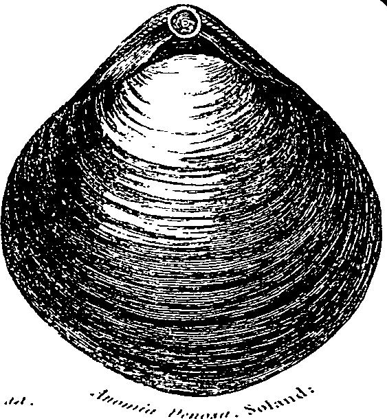 071/071890070002570_0.png