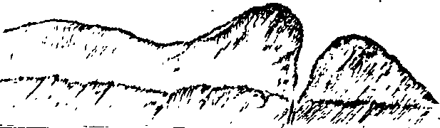 071/071890070002650_0.png