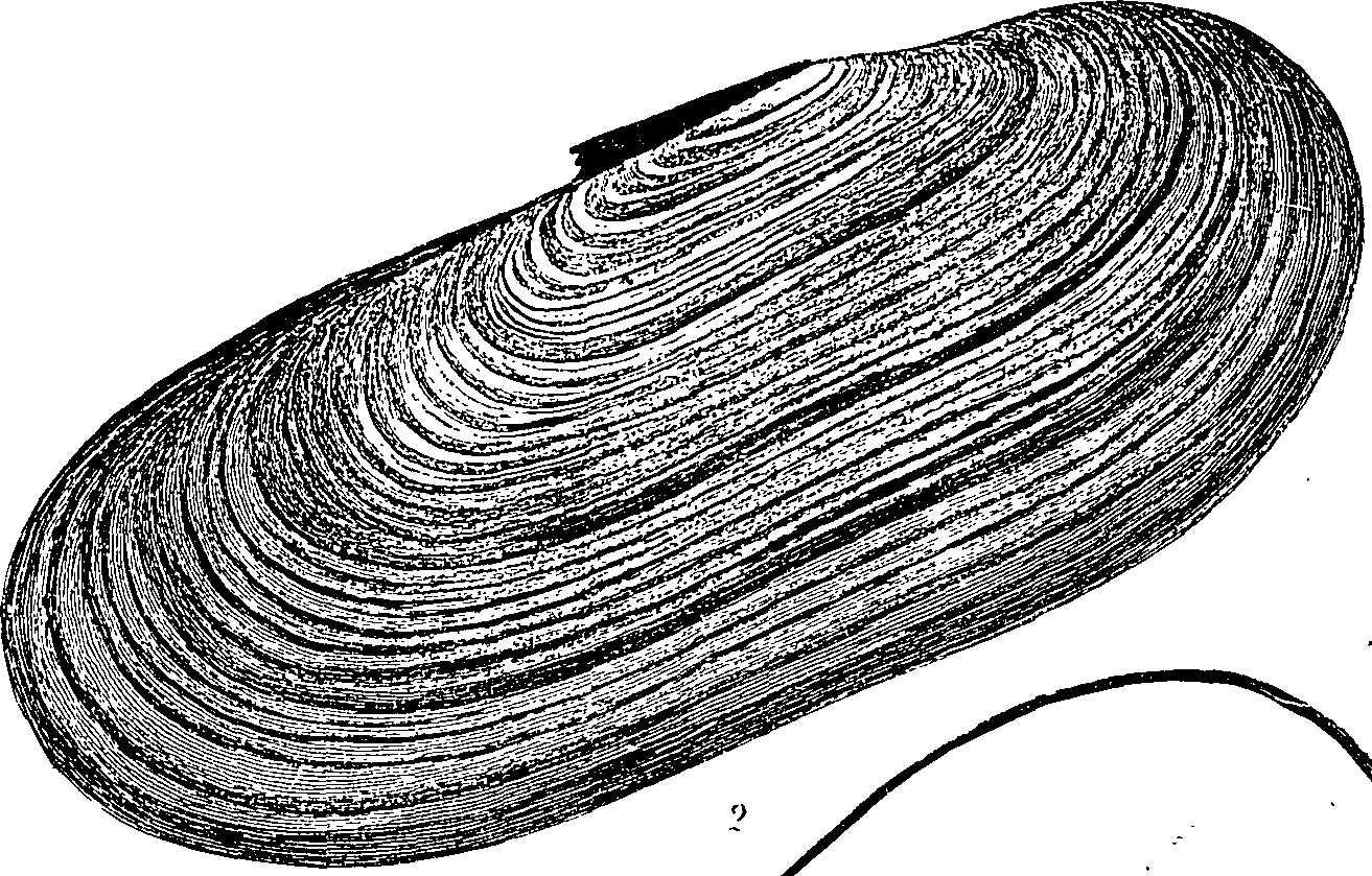 071/071890070003090_0.png