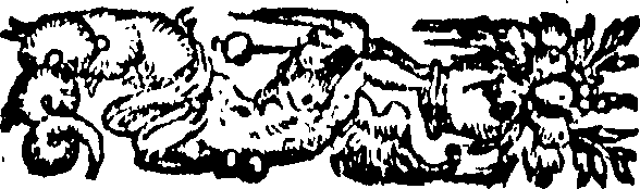 071/071960010001200_0.png