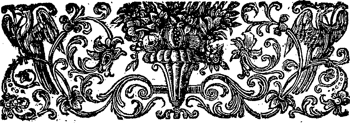 071/071980100000080_2.png