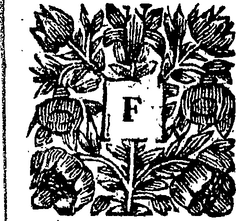 071/071990060000240_1.png