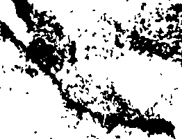 072/072060060000010_1.png