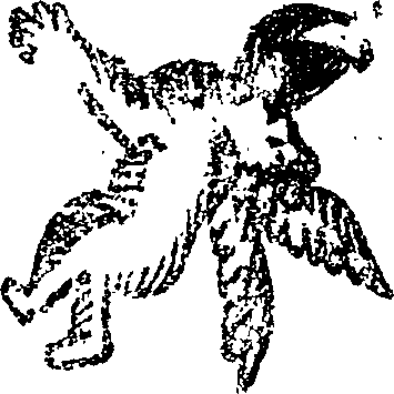 072/072110200000080_0.png