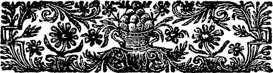 072/072170070000040_2.png