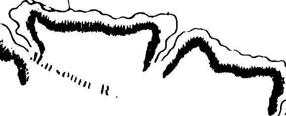 072/072230060000410_0.png