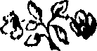 072/072250080000020_0.png