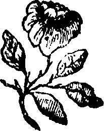 072/072250080000120_0.png