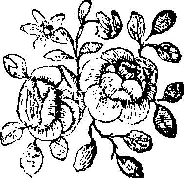 072/072250080000470_0.png