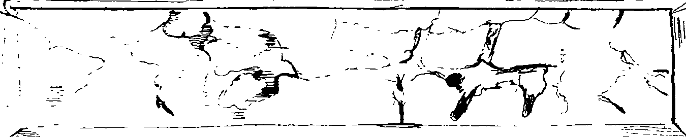 072/072250240000080_0.png