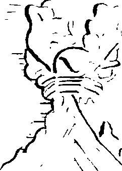 072/072250240000080_2.png