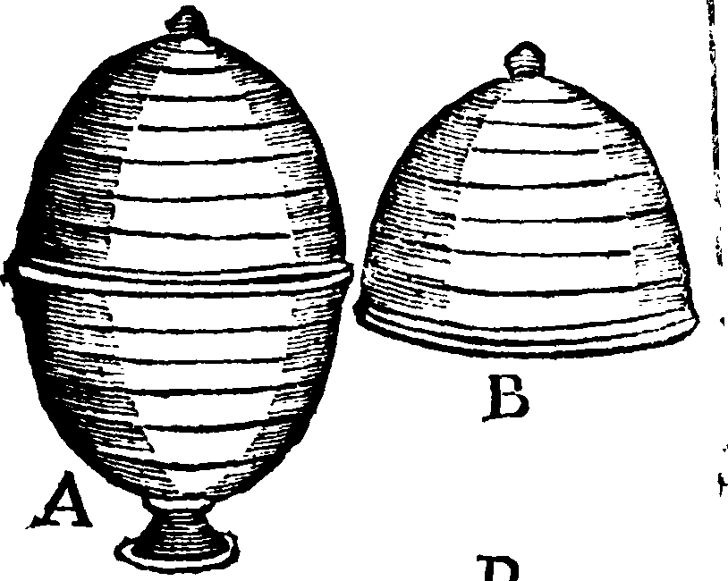 072/072340190000620_0.png