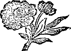 072/072410010201140_0.png