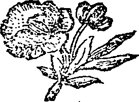 072/072410010301100_0.png