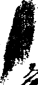 072/072510020000010_1.png