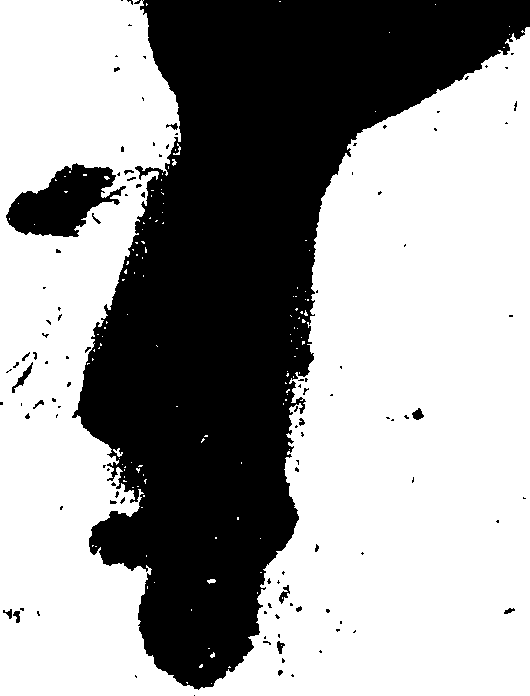072/072520030000040_0.png