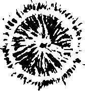 072/072640060001160_1.png