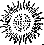 072/072680040000300_0.png