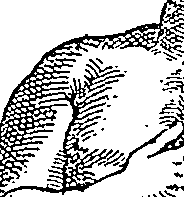 072/072740010102520_3.png