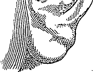 072/072740010102710_1.png