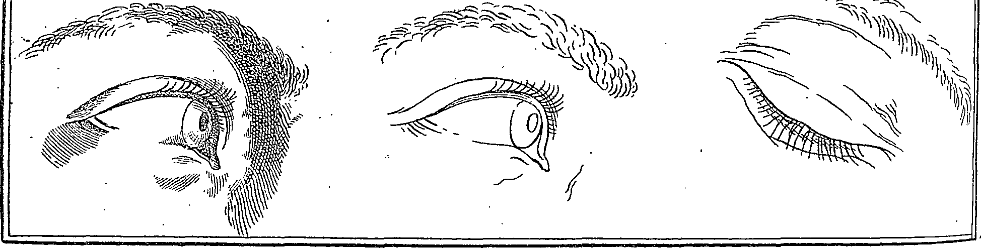 072/072740010103460_0.png