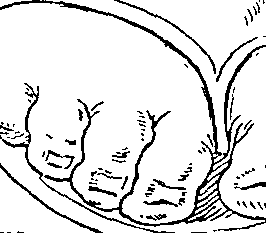 072/072740010103610_0.png