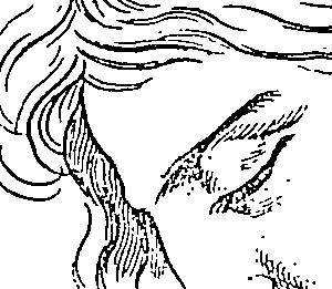 072/072740010203550_0.png