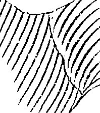 072/072740010203600_0.png