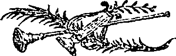 072/072790020000010_0.png