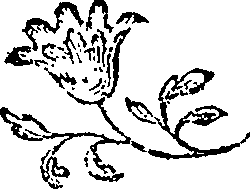 072/072790020000540_0.png