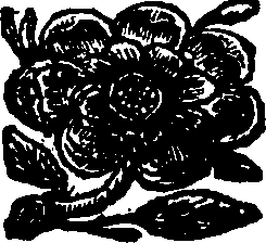 072/072890080202270_0.png