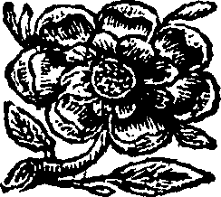 072/072890080204660_0.png