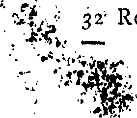 072/072950010005910_0.png