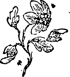 072/072990070000660_0.png
