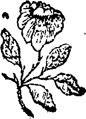 072/072990070000820_0.png