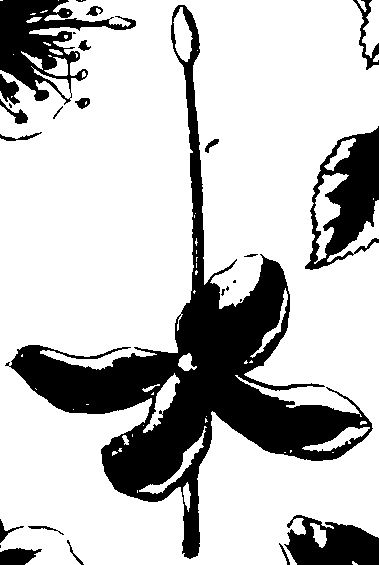 073/073070010001760_1.png