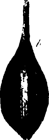 073/073070010001760_3.png