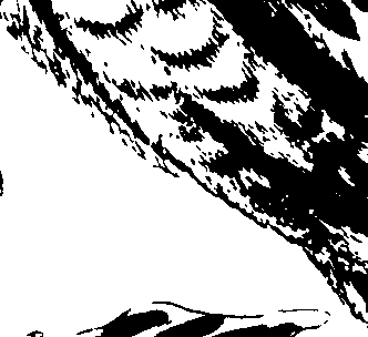 073/073070010002690_0.png
