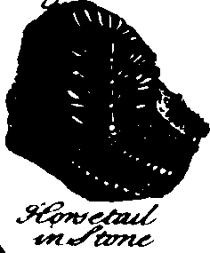 073/073070010002740_1.png