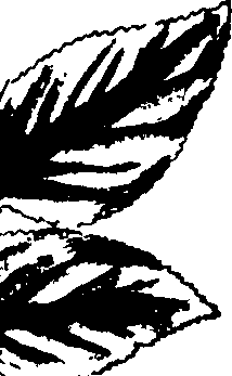 073/073070010002810_0.png