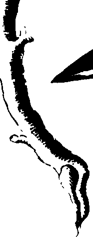 073/073070010002810_1.png