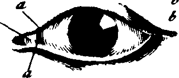 073/073070010003710_1.png