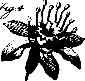 073/073070010003900_2.png