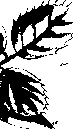 073/073070010004120_2.png
