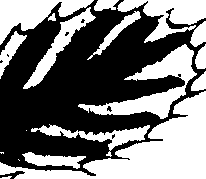 073/073070010004120_3.png