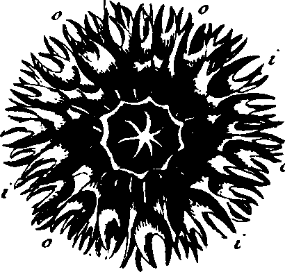 073/073070010004830_3.png